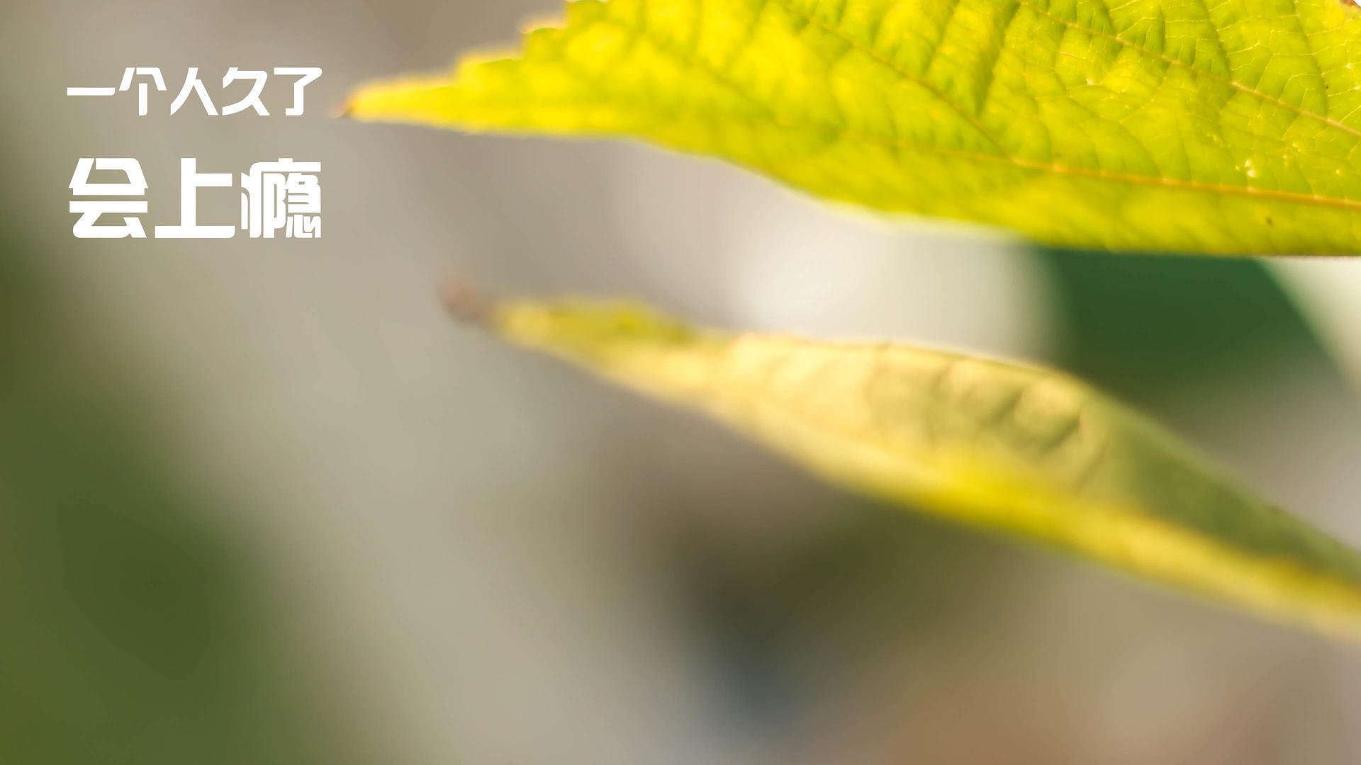 _体育直播新体验：沉浸式虚拟实境观看_，虚拟体育赛事