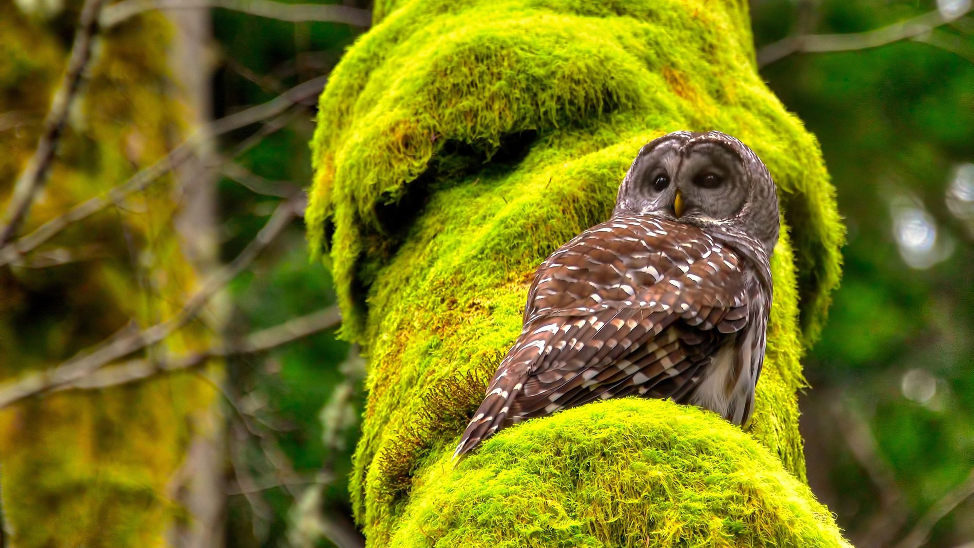 开云体育APP-_热火防守铁壁，战绩连战不断征战_，热火防守悍将