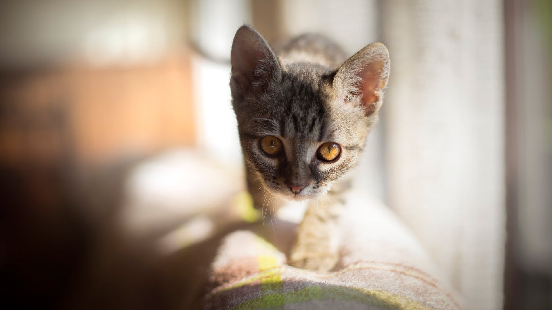 “逆境翻盘:季后赛中最惊心动魄的剧情”,逆境翻盘是什么意思