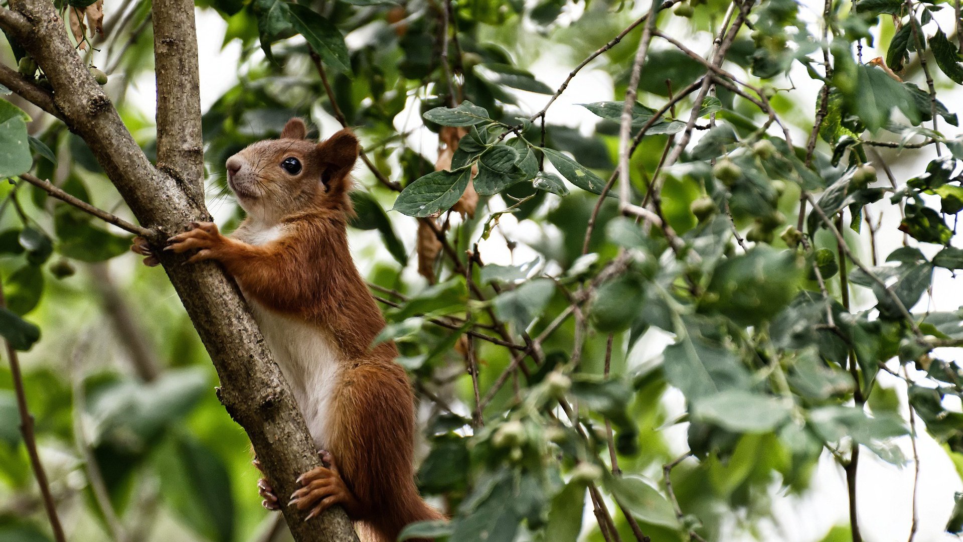 开云官方平台-【轮换投手新规】教练如何利用规则调整战术？，篮球轮换战术