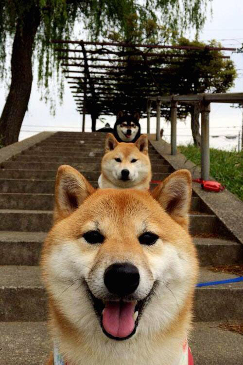 开云平台-一线明星助阵公益足球赛，推动全民体育精神，体育明星公益活动