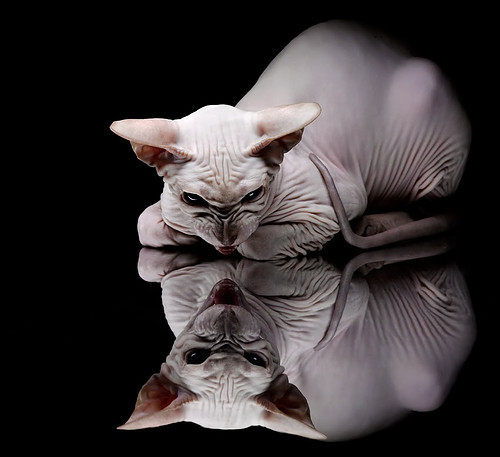 kaiyun.com-乡村特色竹竿挤拔河，传承传统民俗运动，拔竹竿神器