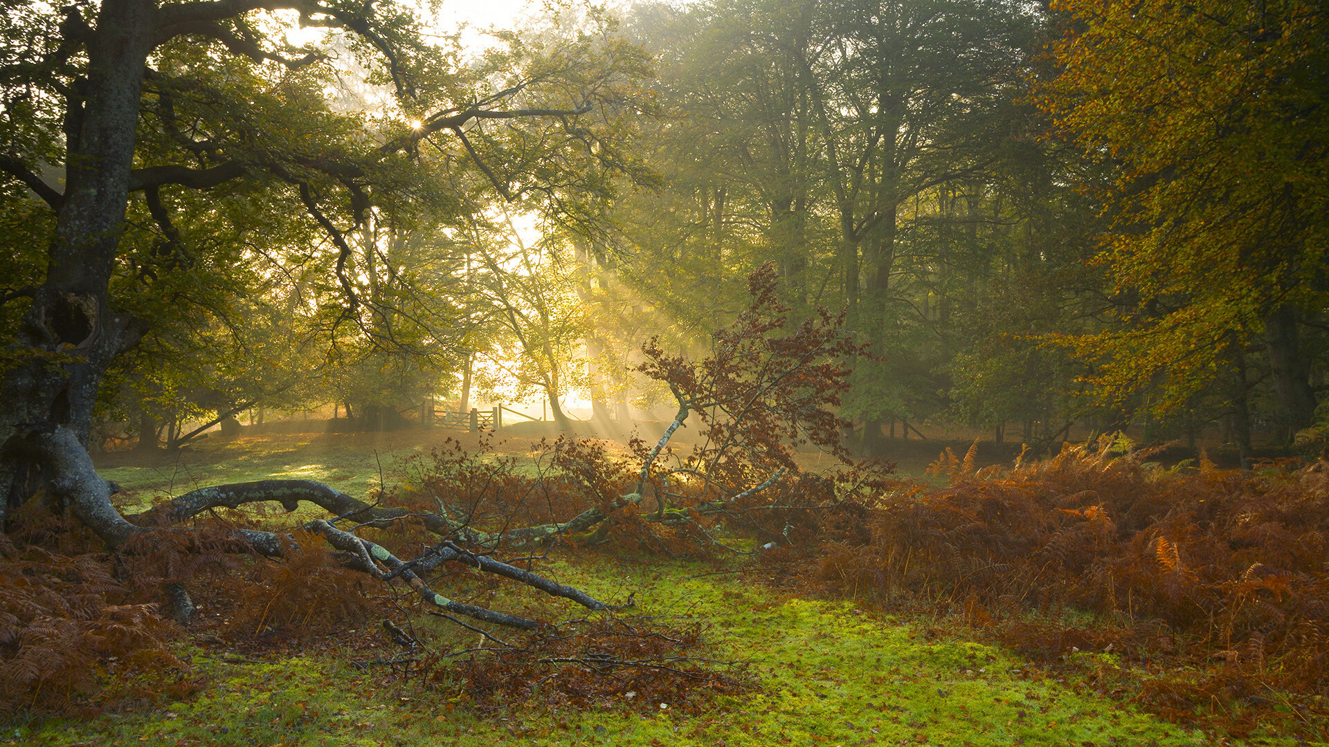 kaiyun-中国高尔夫球协会发布2024年中高协主办赛事安排，中国高尔夫球协会会员