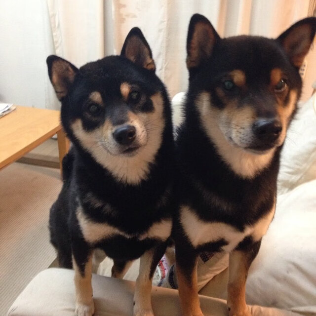 开云体育在线-北京、上海、广州等城市篮球热潮不断升温，联盟布局全球未来！