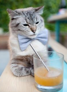 数字青训平台正式上线，实现青少年训练全流程监控，数字青少年宫在线登录