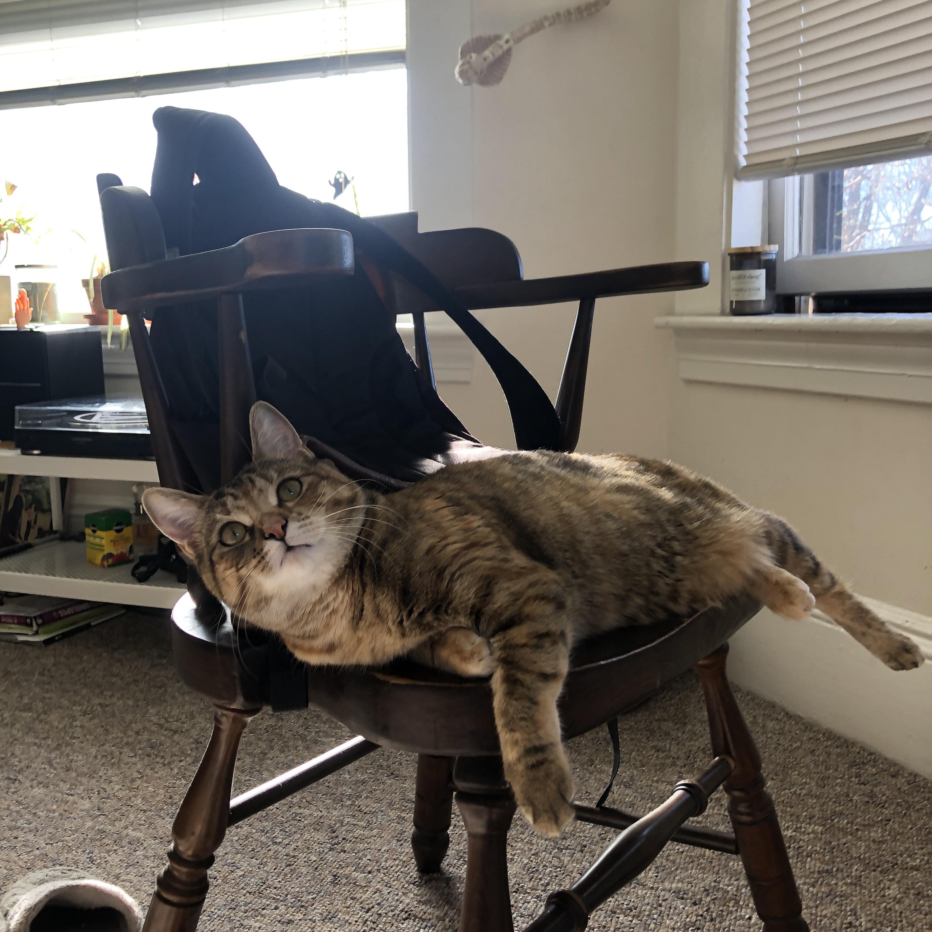 未来“足球帝国”新星在欧冠绽放光彩,足球未来10大新星