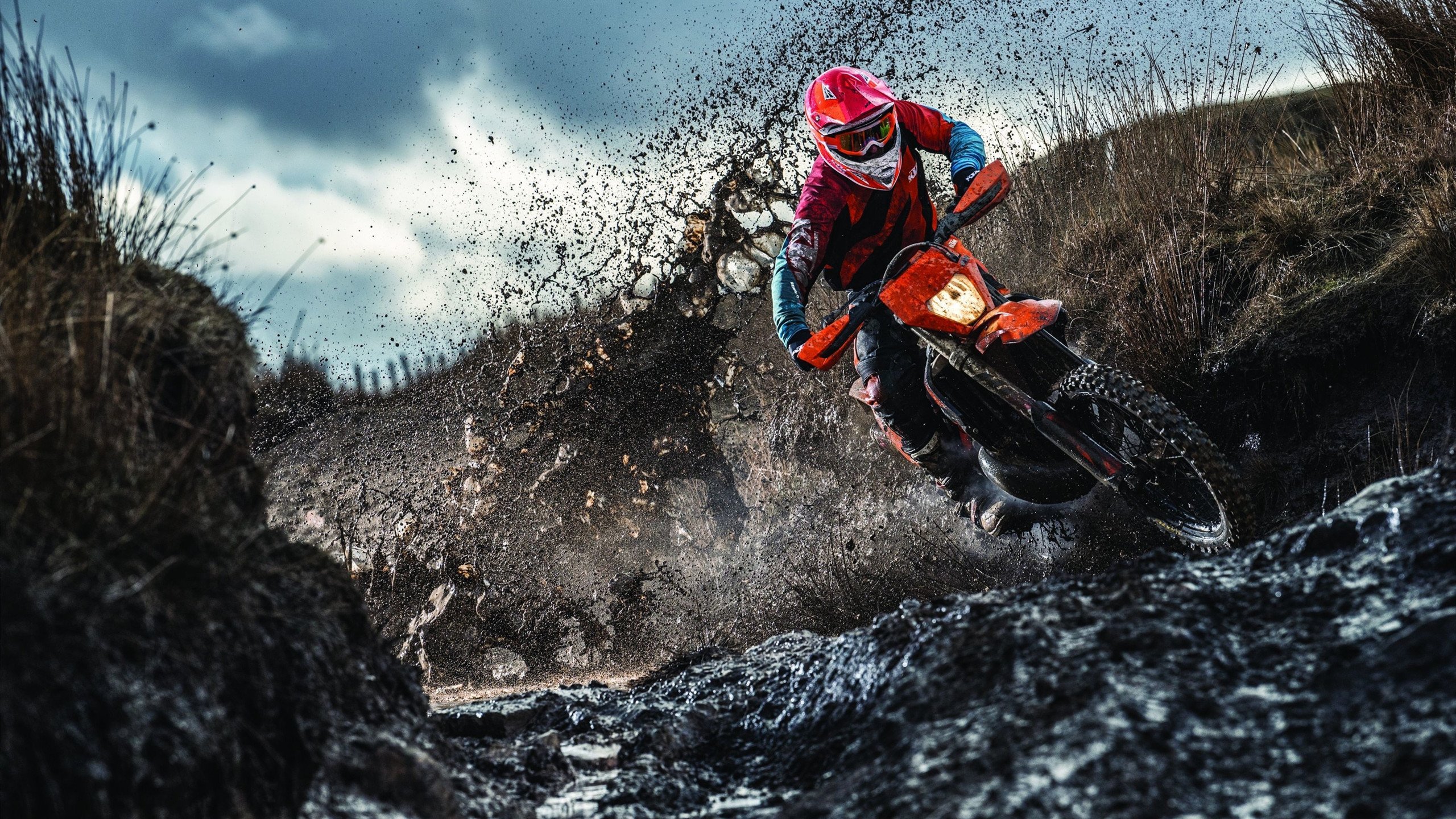 球迷互动:你认为谁会拿下MVP?,拿过mvp的球员