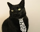 篮球公益训练营深入农村地区普及篮球,2021篮球训练营