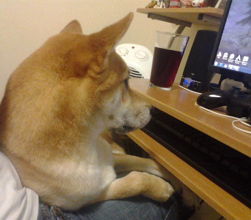 开云在线直播-美国队中场卡瓦尼在巴黎奥运会上展现出强大的进攻组织能力，卡瓦尼总进球