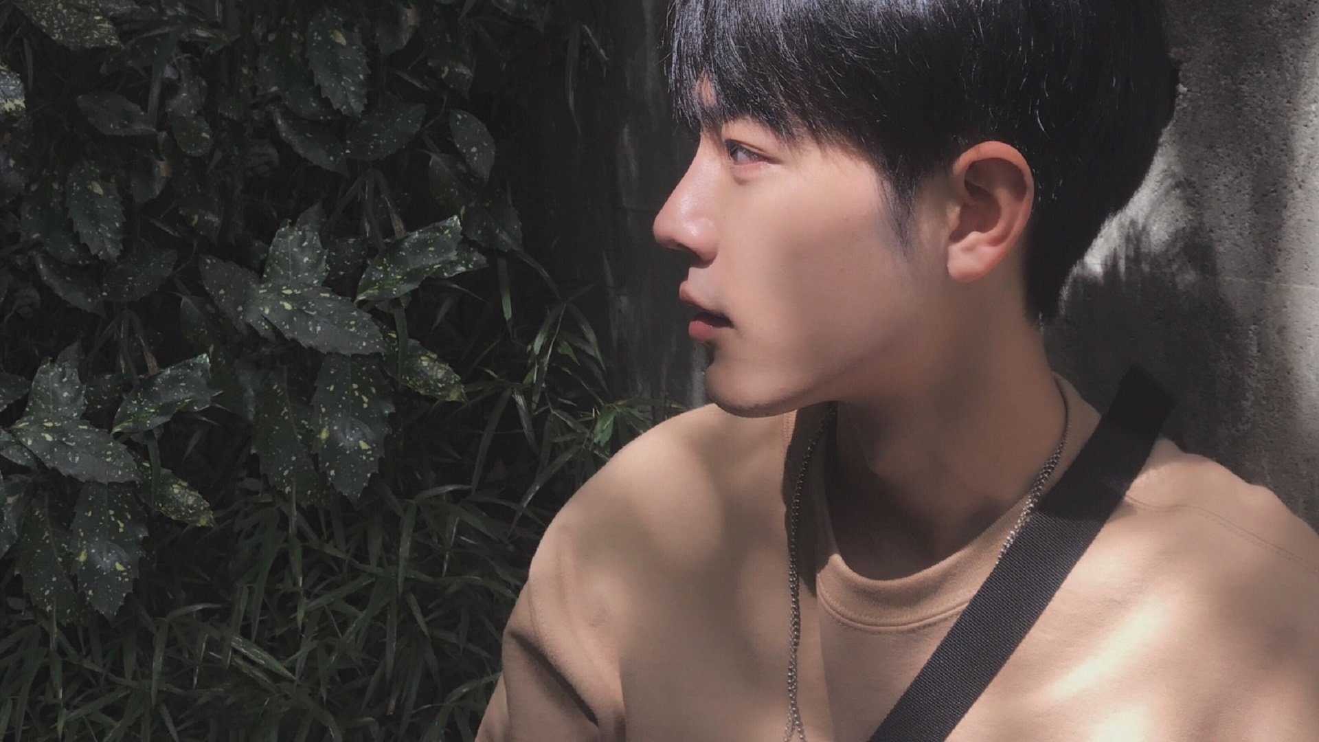 DOTA 2官方赛事规则更新，dota2所有比赛