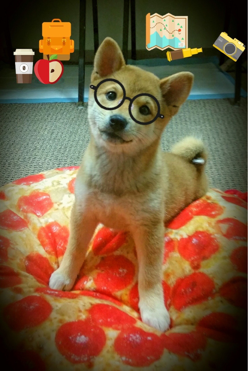 全国青少年摄影运动会用镜头记录运动瞬间,青春精彩永恒,校运会摄影比赛