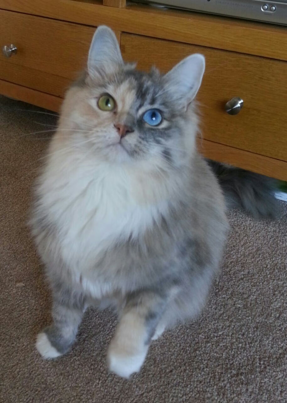 法甲青训系统引入沉浸式决策模拟提升战术应变速度,法甲知乎