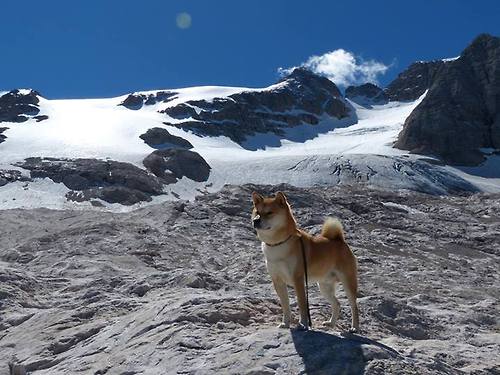 开云体育下载-英超球队通过战术疲劳评分系统调整比赛节奏控制策略，英超赛后球员评分网站