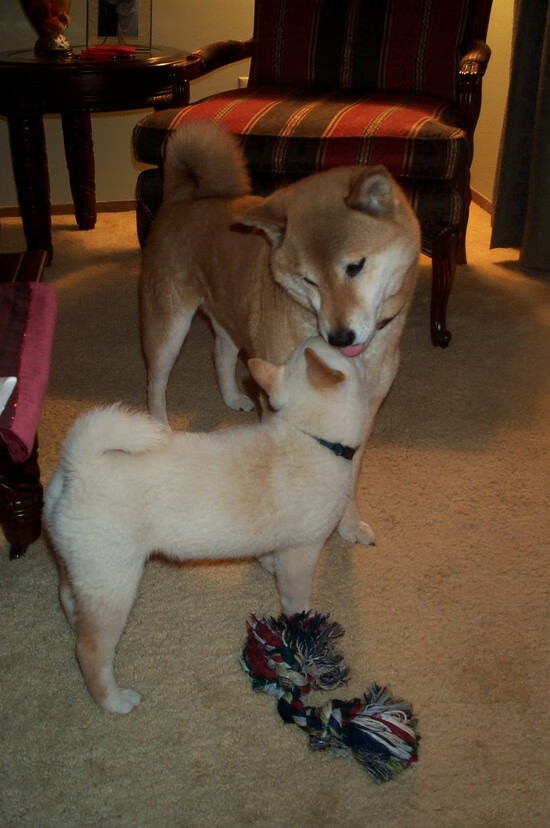 开云APP-西甲球队采用机器学习预测对手传球线路变化，2020西甲用球