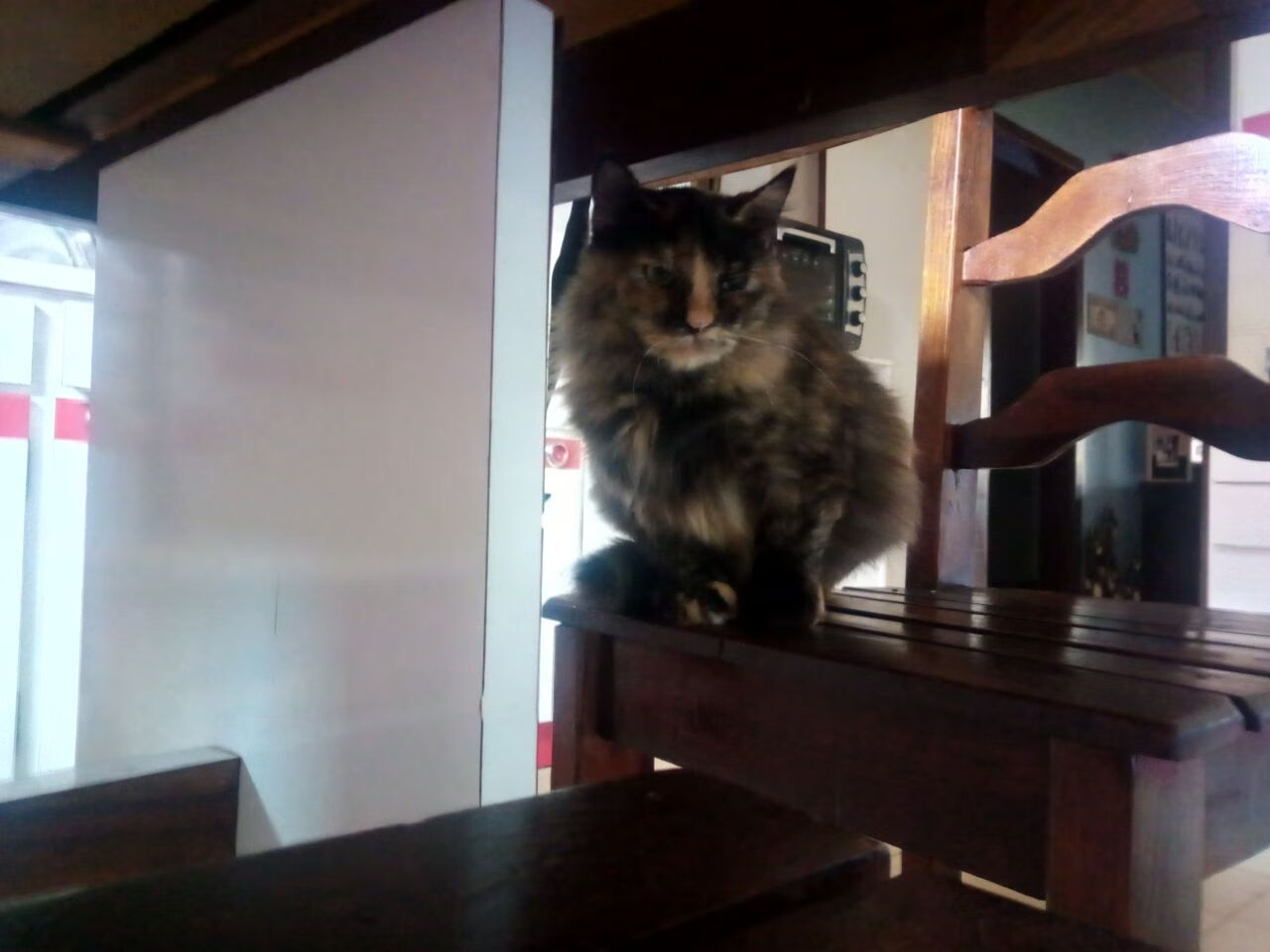 国家队得分点集中是否导致战术单一,国家队积分规则