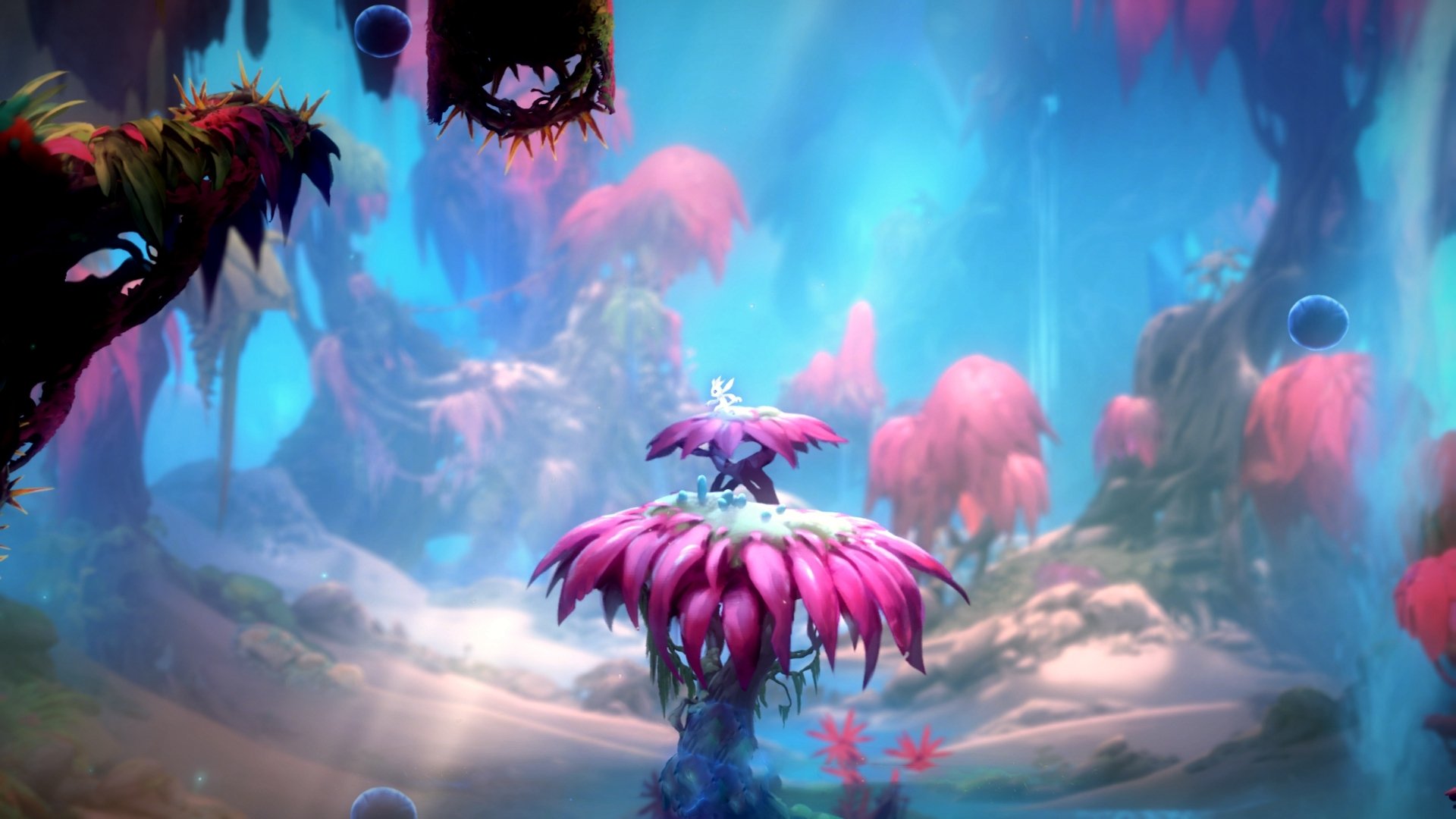 德国队的赛制适应:国际乒联混合团体世界杯中如何应对新挑战,德国乒乓球甲级联赛