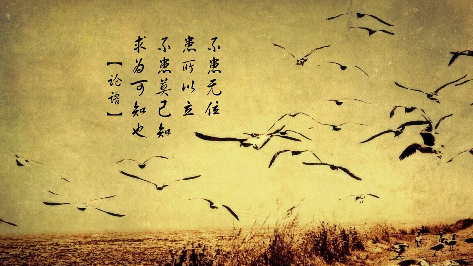 开云体育网址-主帅接受专访分享执教理念谈及团队合作与精神建设，执教理念是什么