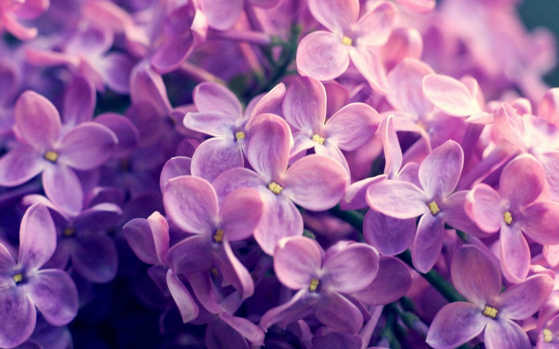 女子足球鼓励退役球员转岗参与青训与裁判工作，女足 退役