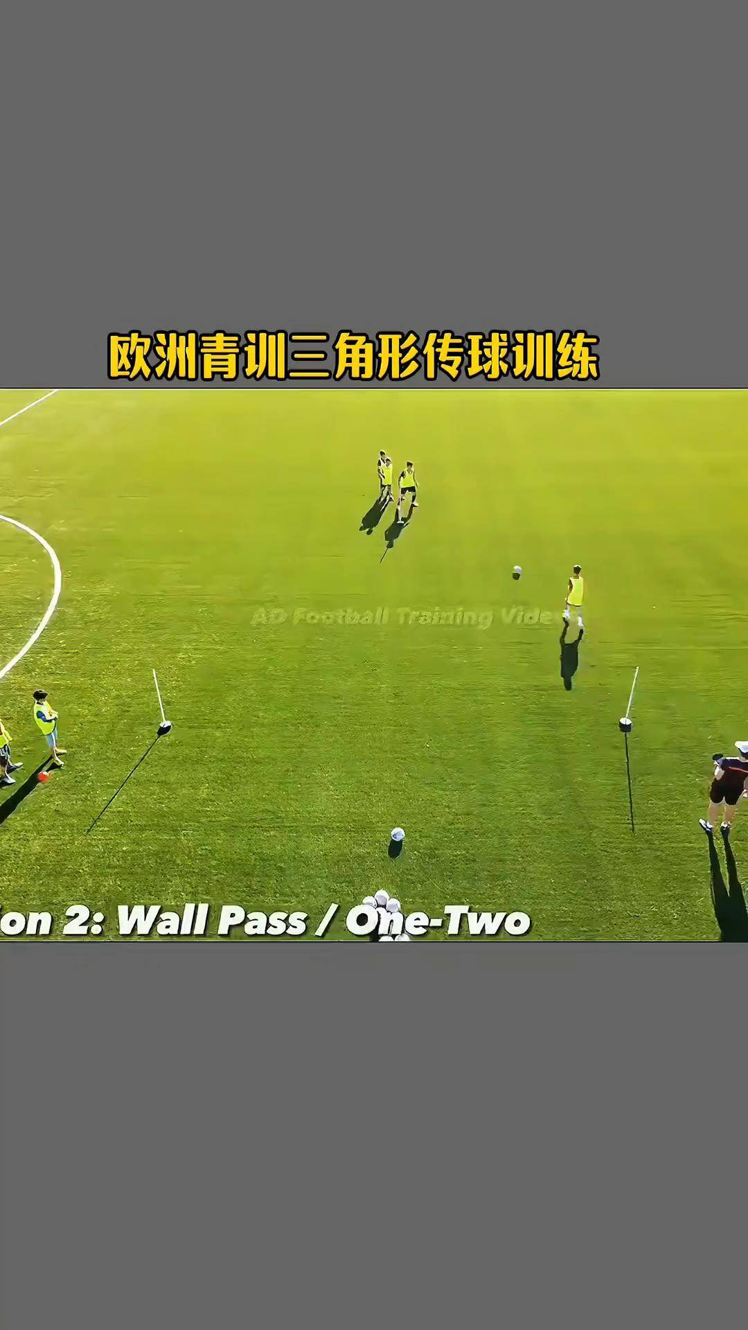 各国对足球青训的措施与效益分析 各国对足球青训的措施与效益分析