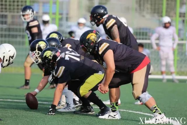 关于赛季总结：进攻与防守的成功案例的信息