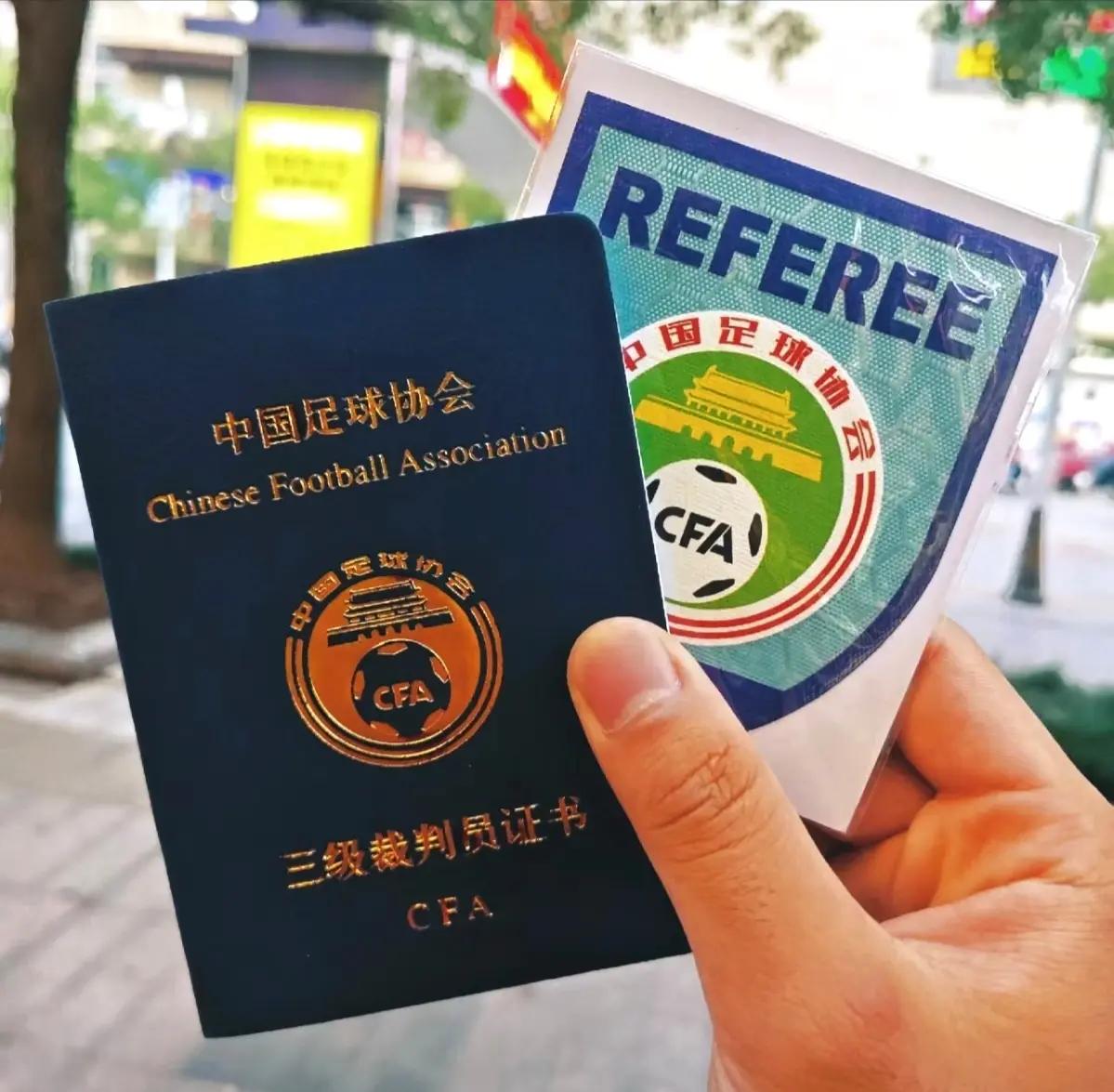 足球裁判的角色与影响：职业发展探讨的简单介绍